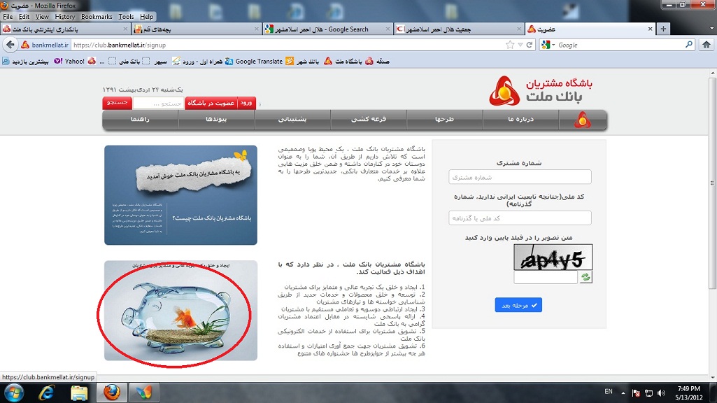 عکس خوک عکس خوک در صفحه بانک؟!